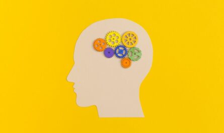que es la neuroeducacion