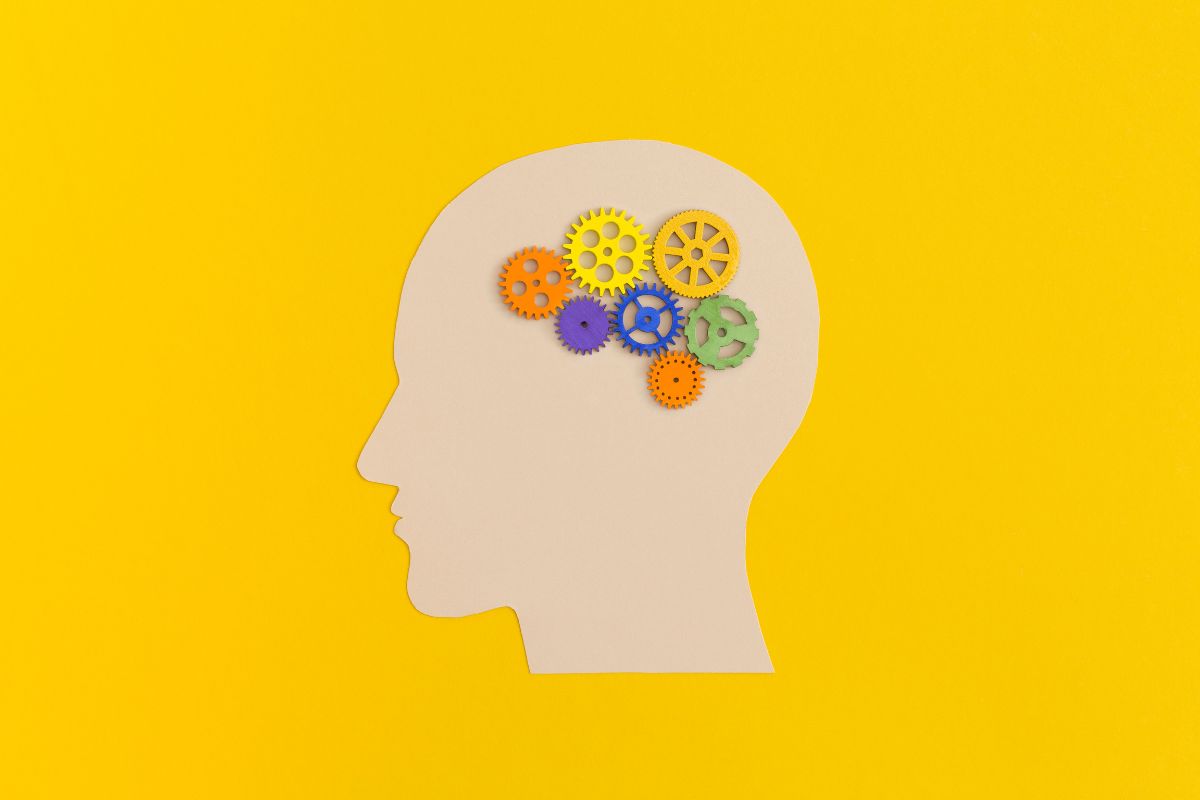 que es la neuroeducacion